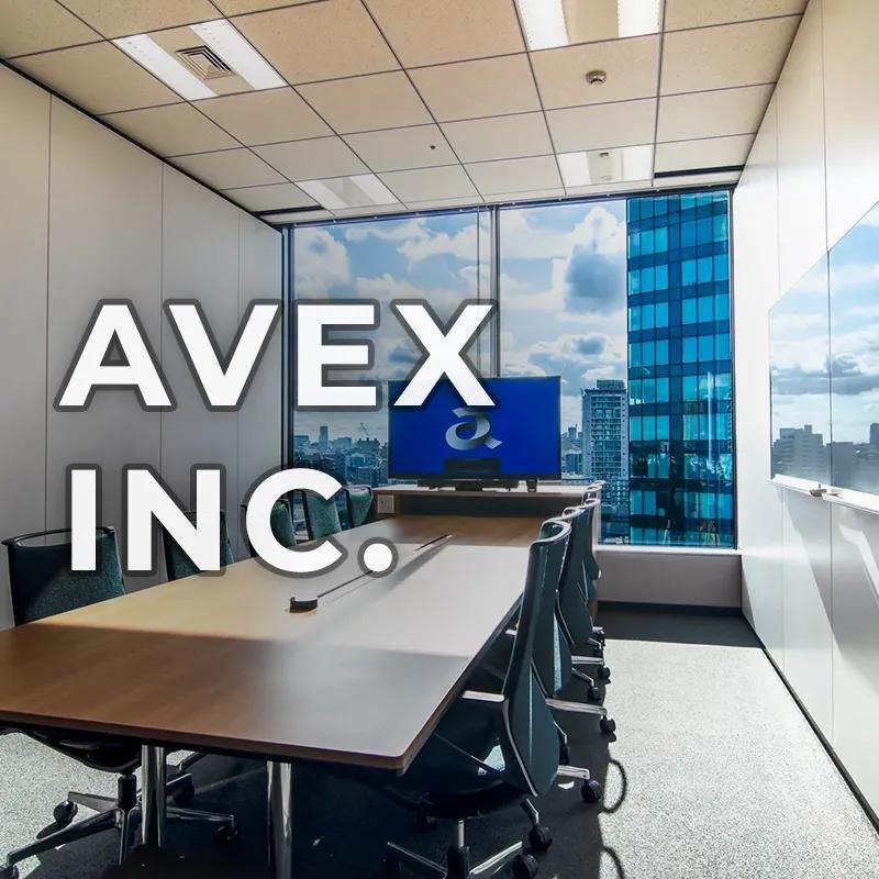 corporate-logo-2pt0_3-Avex_IGP9276_page-3-left-side
